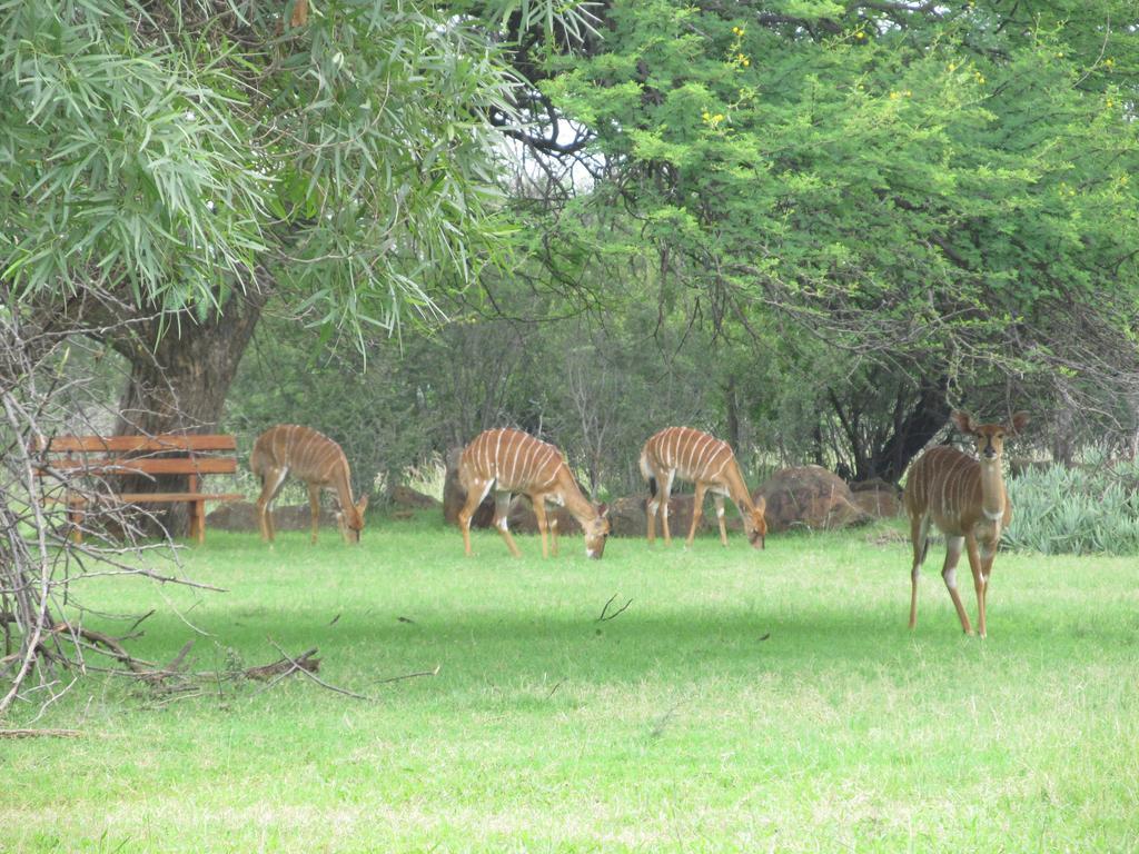 Boubou Bed And Breakfast Rustenburg Exterior foto